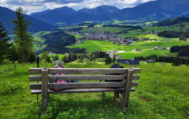 Blick auf Abtenau