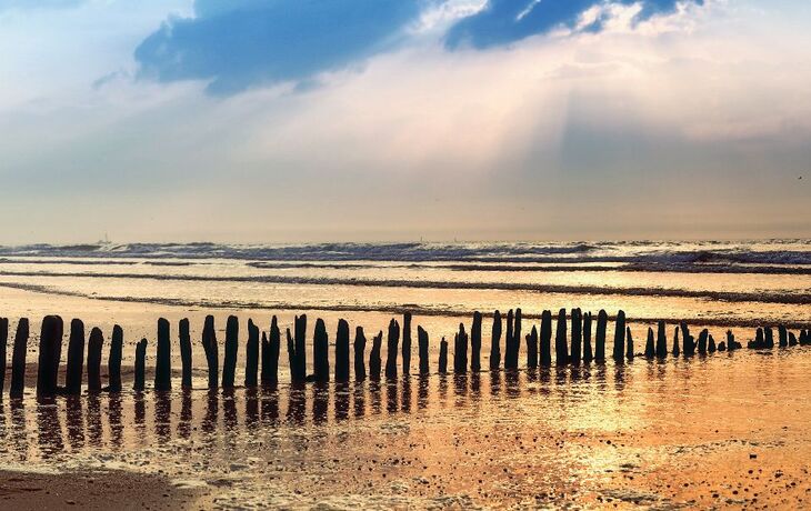 Bunen am Strand