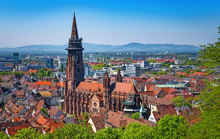 Kathedrale in Freiburg im Schwarzwald, Deutschland