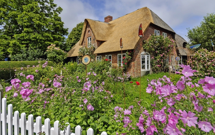 Friesenhaus