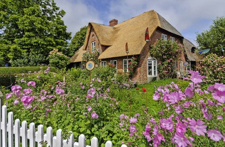 Friesenhaus