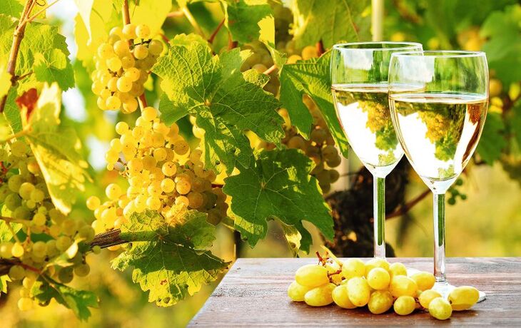 Weinprobe