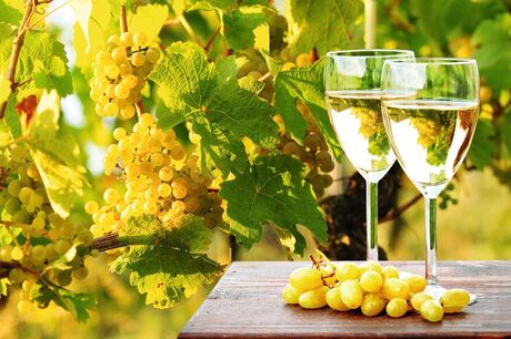 Weinprobe