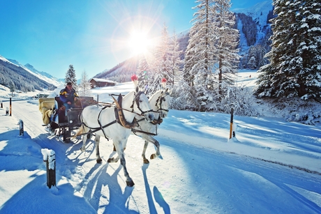 Pferdeschlitten im Winter