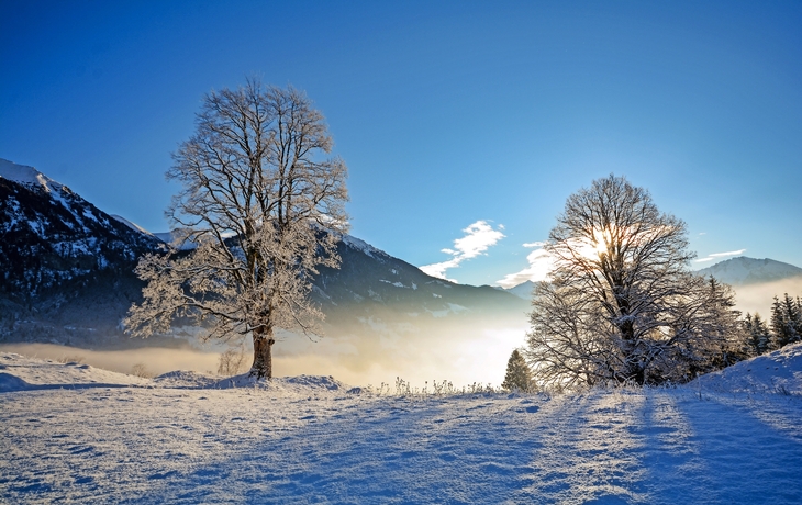 Winterlandschaft Österreichische Alpen