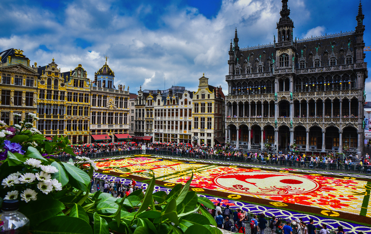 Blumenteppich auf dem Grote Markt in Brüssel