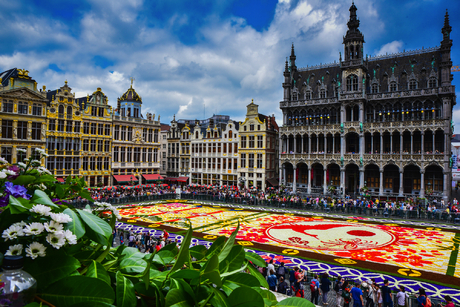 Blumenteppich auf dem Grote Markt in Brüssel
