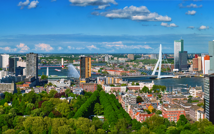 Rotterdam und Erasmusbrücke