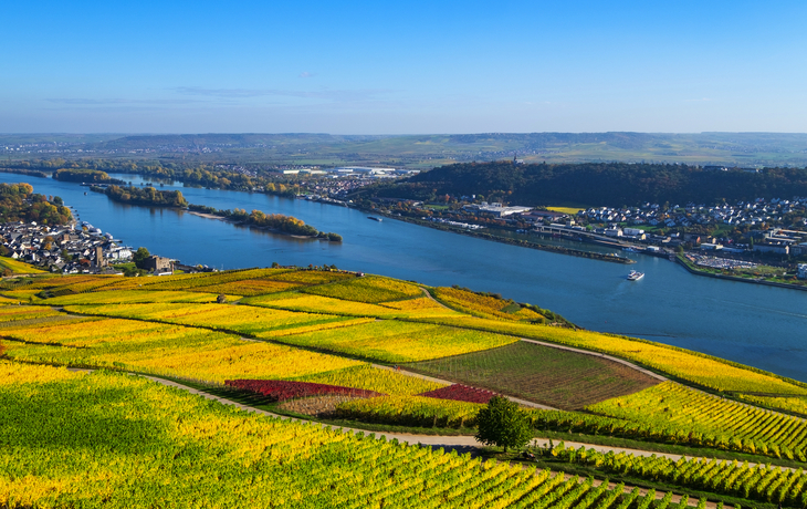 Blick ins Rheintal im Herbst