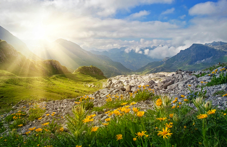 Alpenlandschaft