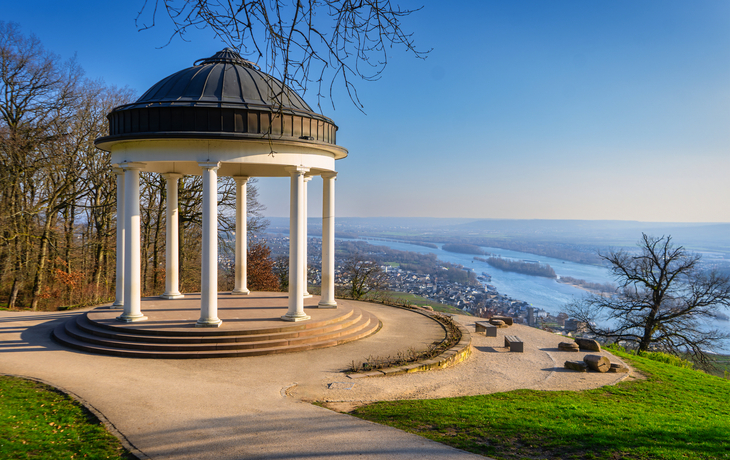 winterlicher Blick vom Niederwalddenkmal in Rüdesheim