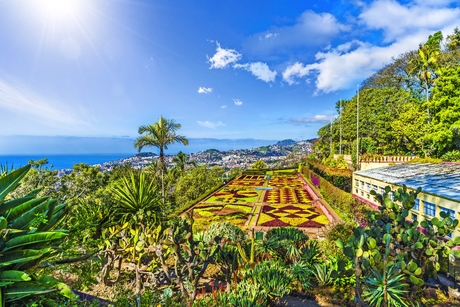 Blick auf Funchal