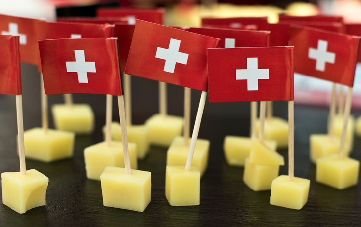 Schweizer Käse