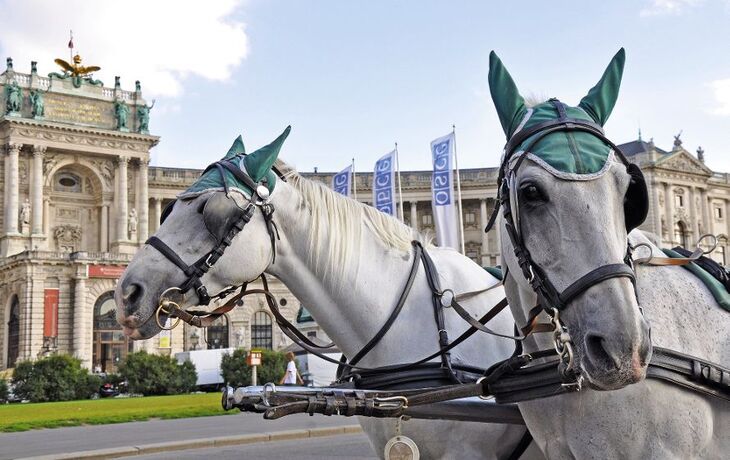 Fiaker vor der Hofburg
