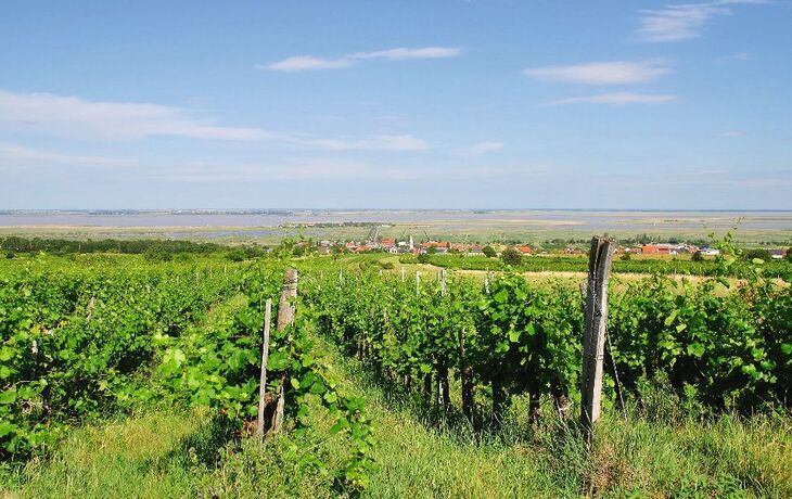 Urlaubs-und Weinort Mörbisch am Neusiedler See