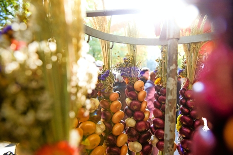 Zwiebelmarkt in Weimar, Deutschland